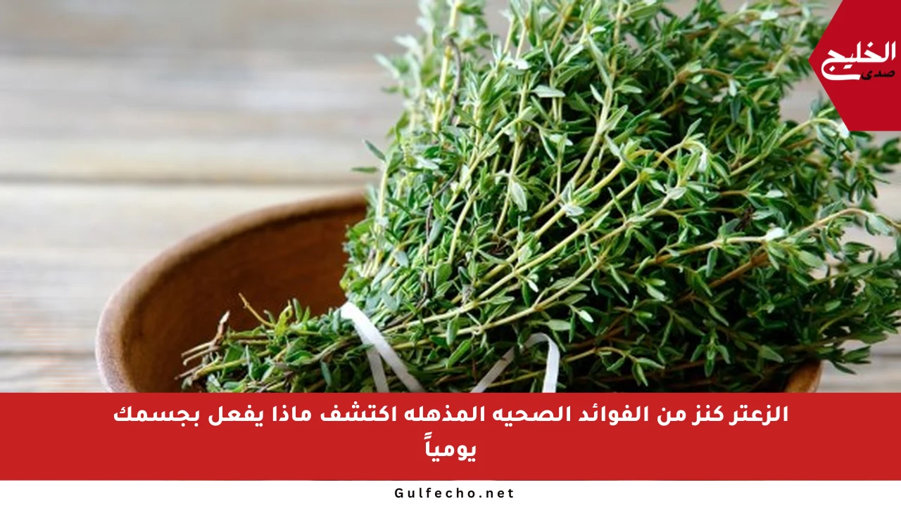 الزعتر كنز من الفوائد الصحية المذهلة اكتشف ماذا يفعل بجسمك يومياً